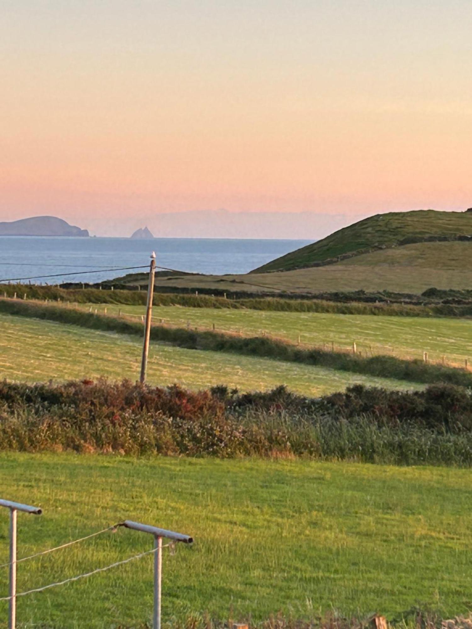 Tig Monbretia Lägenhet Dingle Exteriör bild